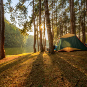 Piazzola - 1 Notte, 2